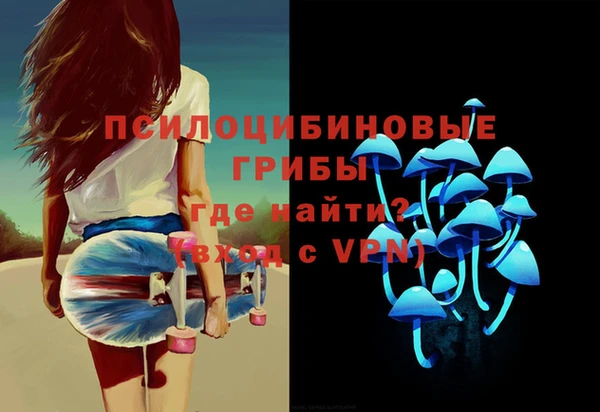 стафф Осташков